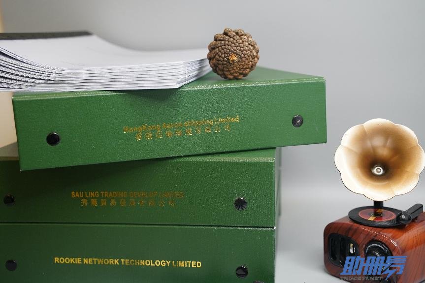 2024香港公司年審所需資料及進度查詢！