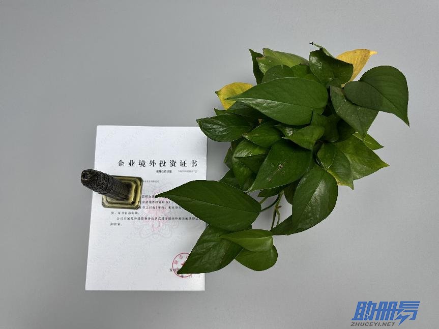 海外公司后期維護(hù)知識介紹！